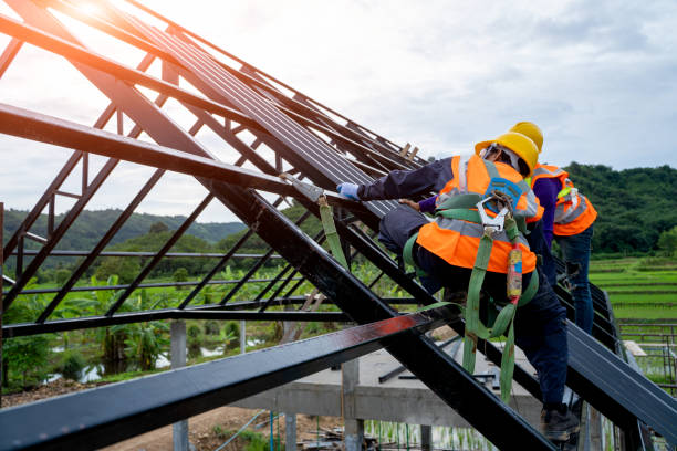 Best Flat Roof Repair Services  in Lmer Heights, PA